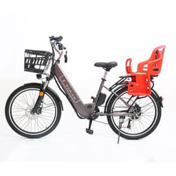 City Bike w/Child Seat